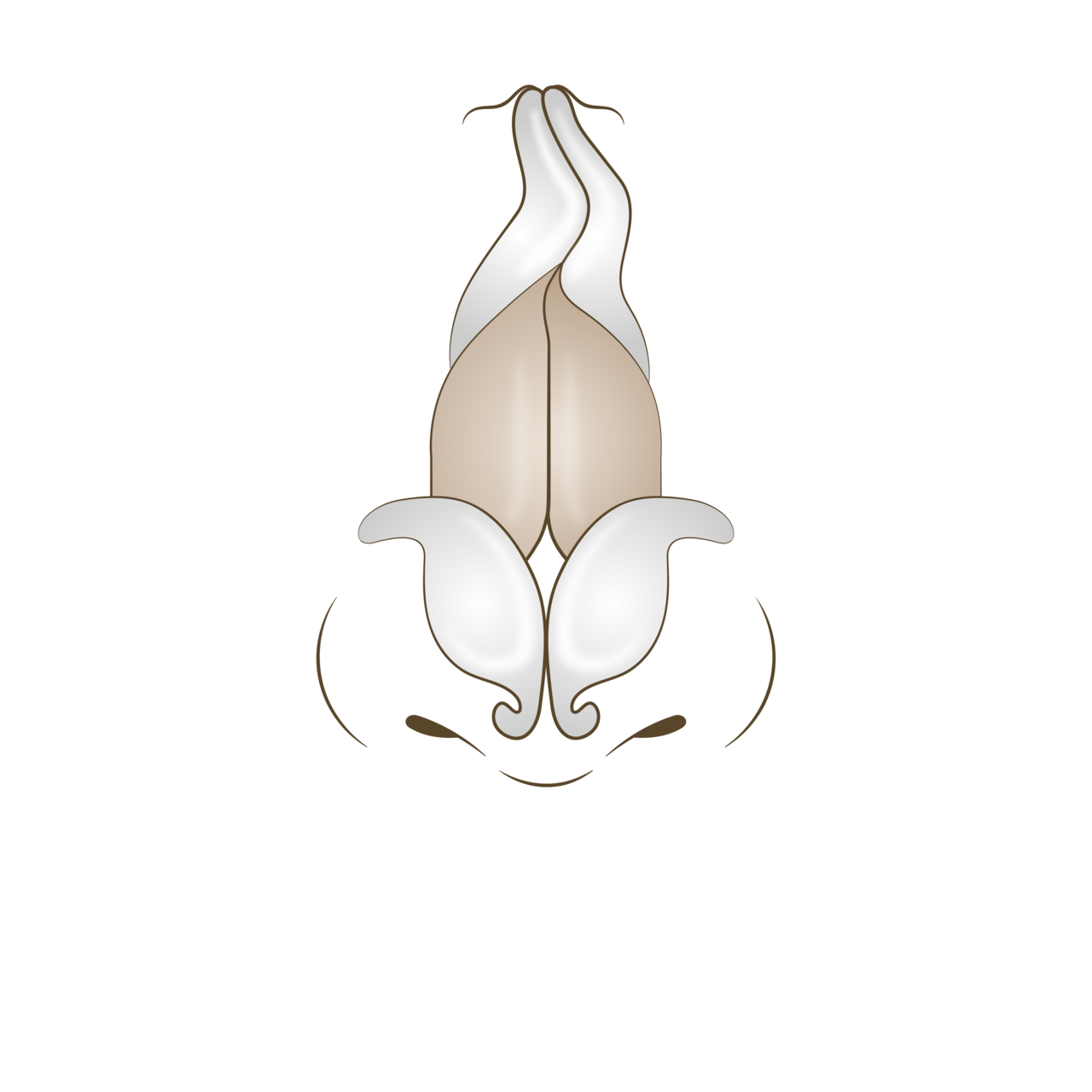 교정 전<br>