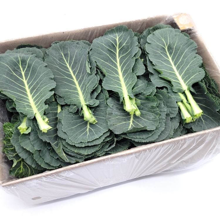 케일 2kg 박스 | 매일 즙·온 가족 쌈 넉넉하게 | 허브온