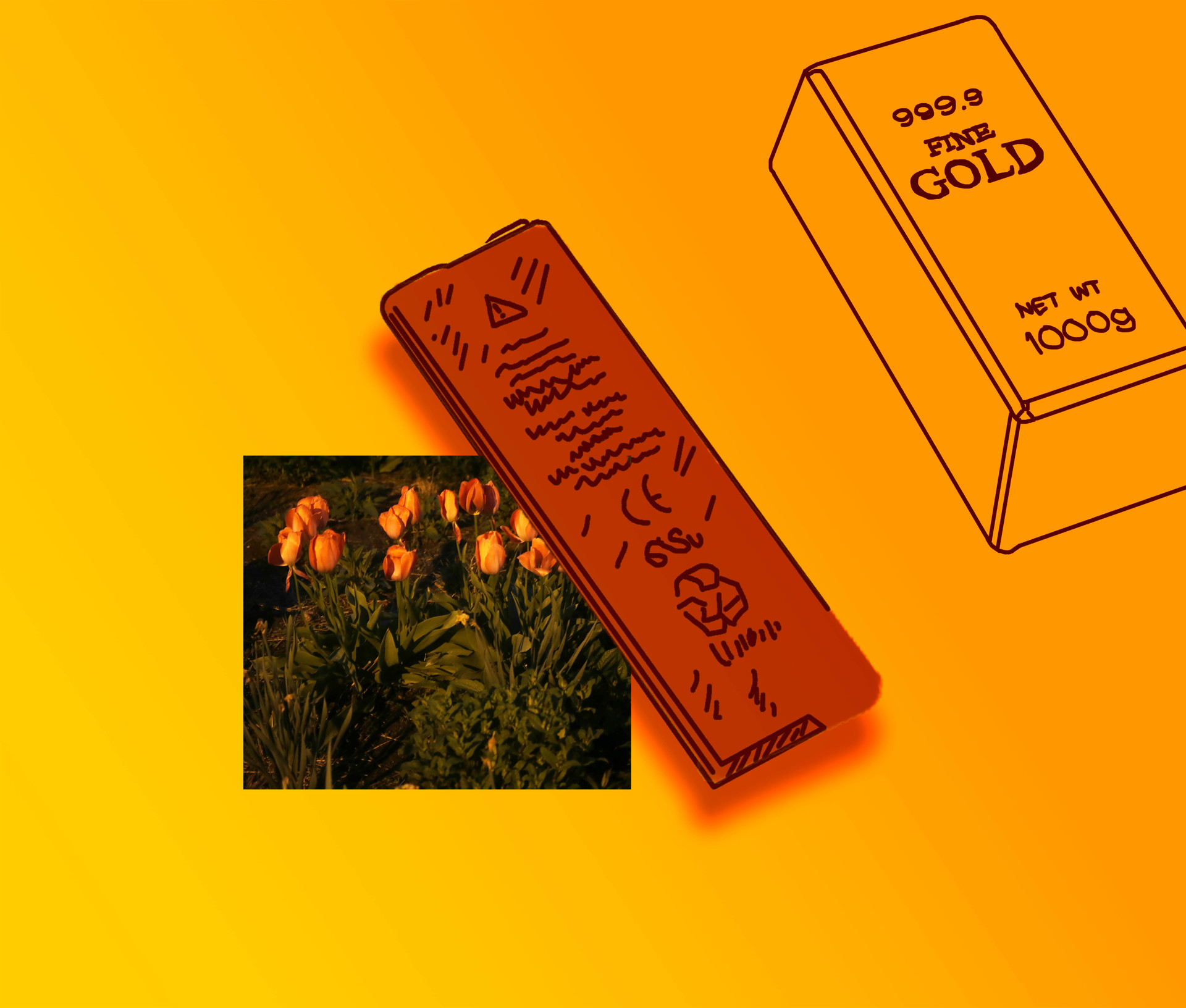 Gold Battery, Pigment Print, 51x60cm, 2020