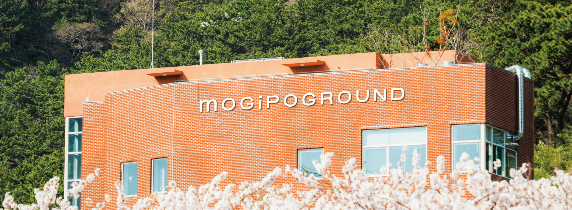 We Curate Your Coffee.