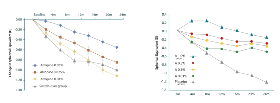 <해외학술 저널>
