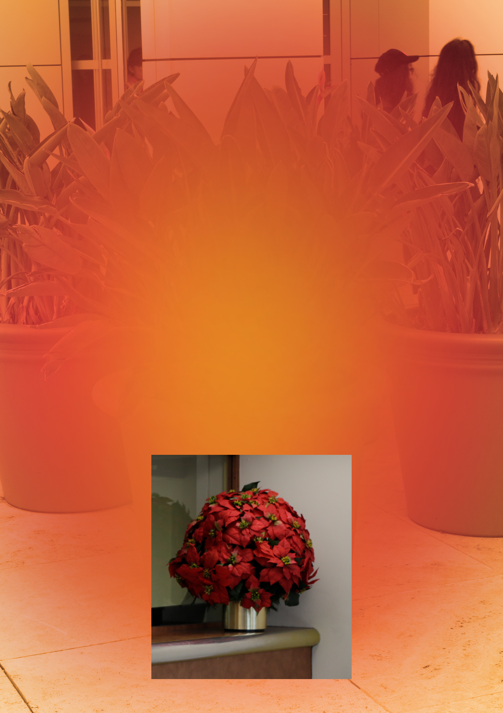 Getty Pennsy, Digital C-Print, 35x28cm, 2018