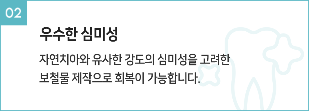 우수한 심미성