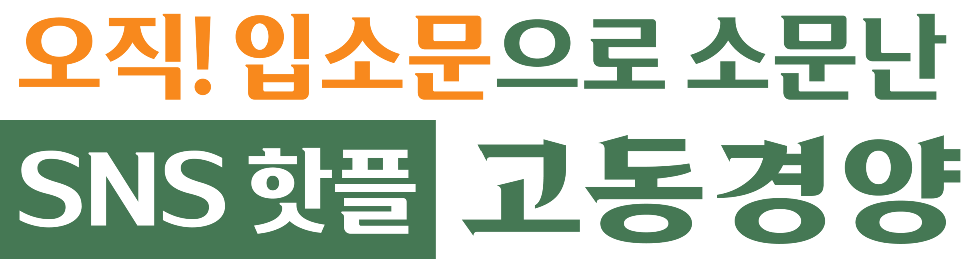오직 입소문으로 난리난 핫플 고동경양