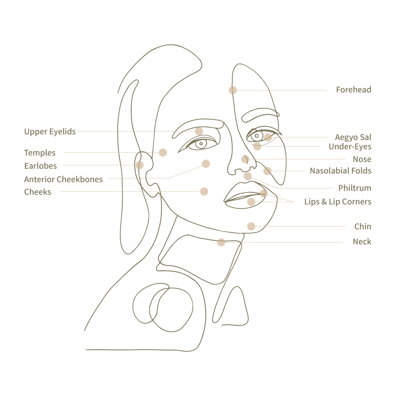 DA Dosan Filler Treatment Areas_Face