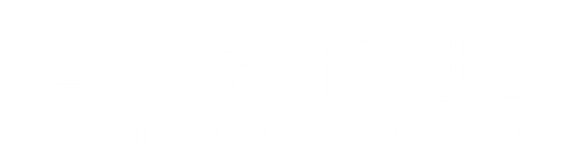 가평 그하루애견펜션
