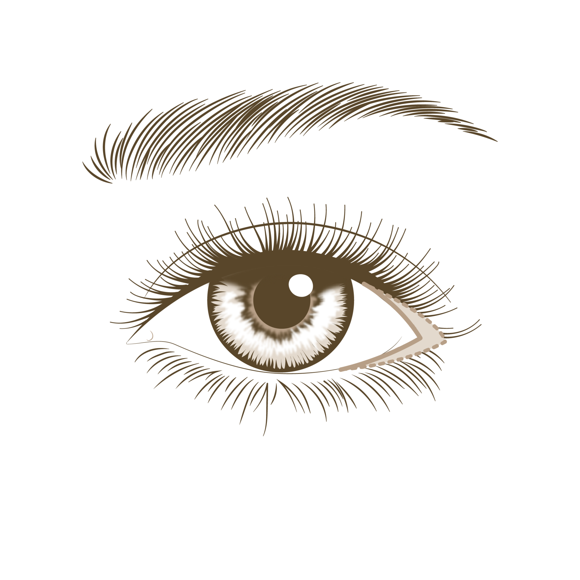 <p style="text-align: center;"><span style="font-size: 14px;">눈꼬리 부분 절개</span></p>