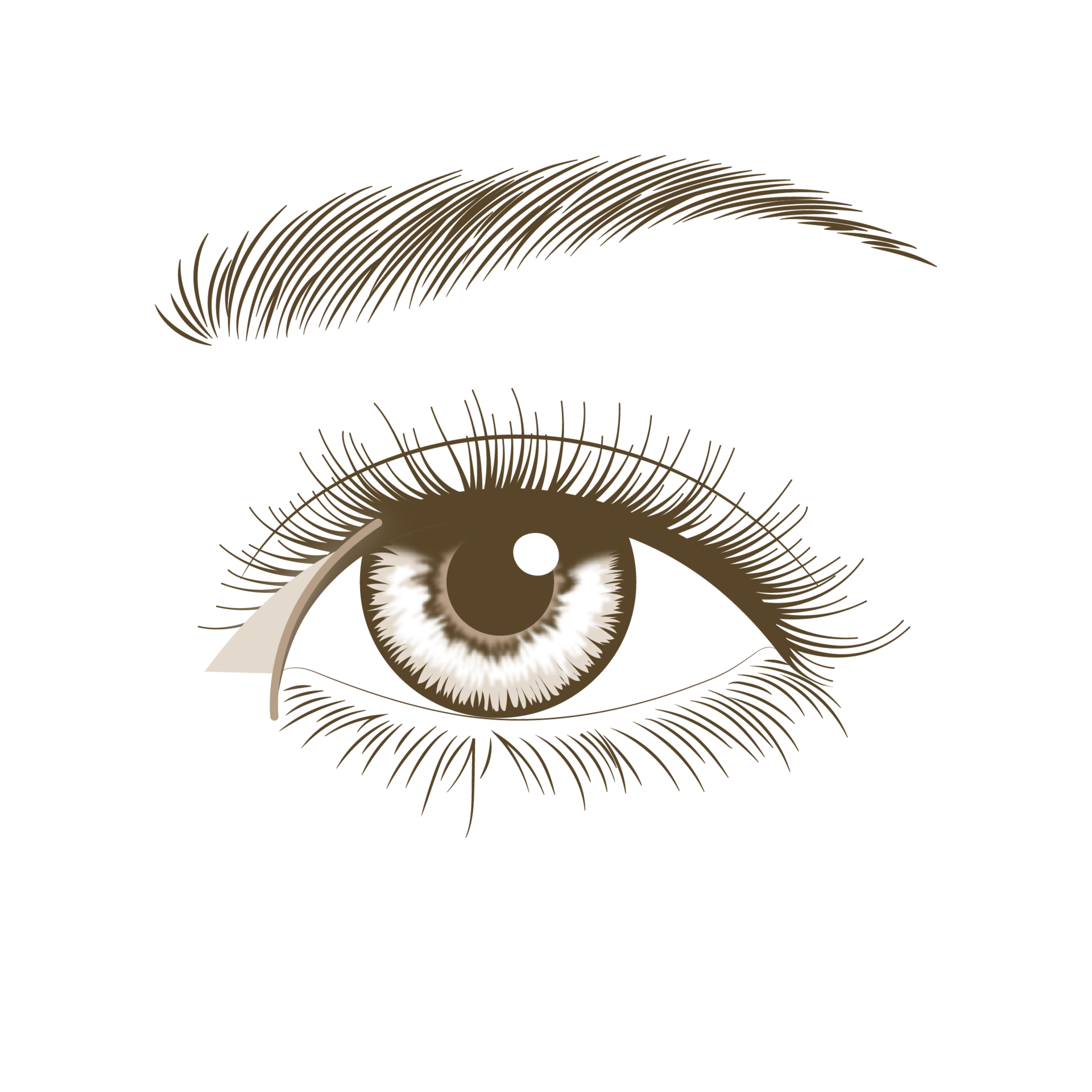 <p style="text-align: center;"><span style="font-size: 14px;">몽고주름 주위 남는 피부 절제</span></p>