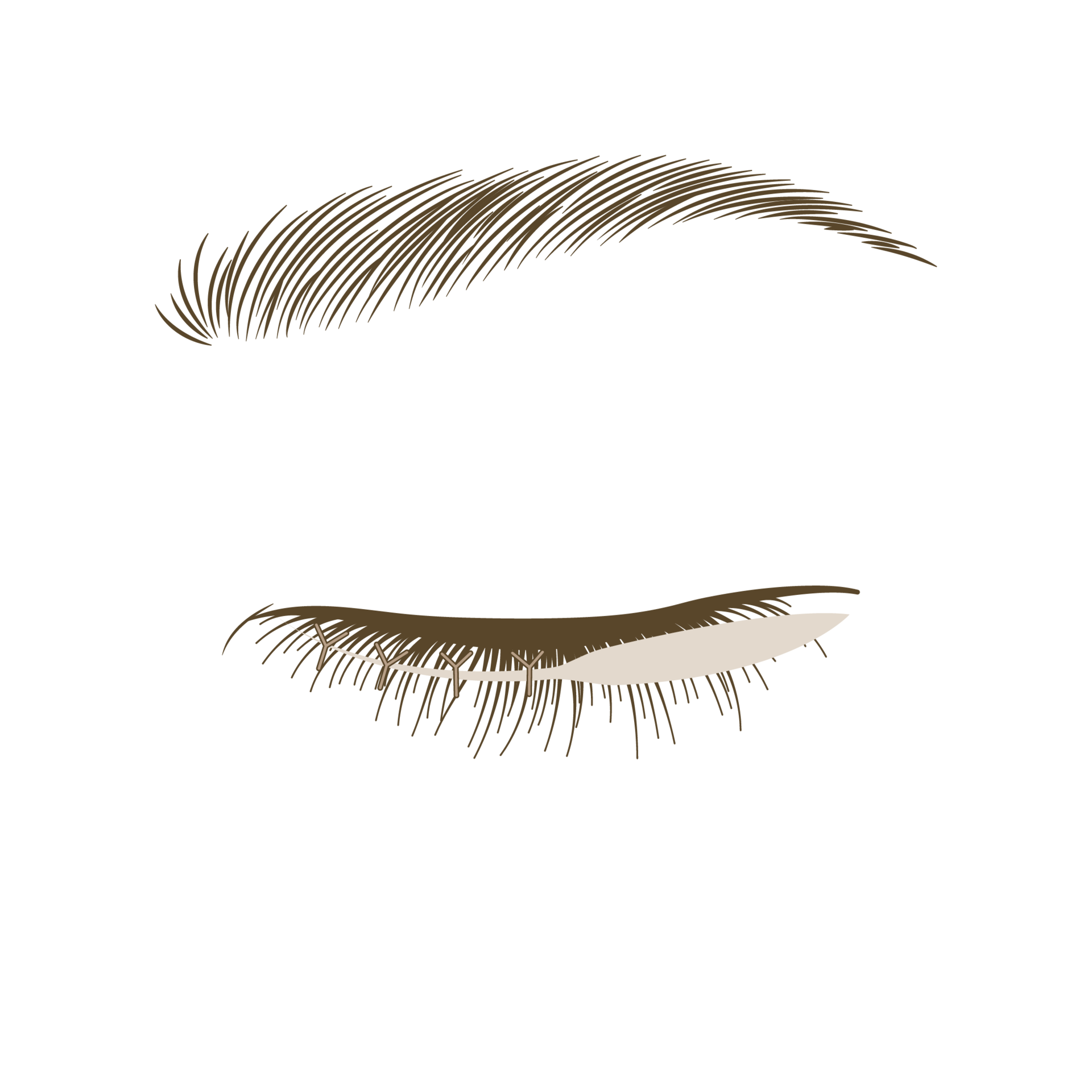 <p style="text-align: center;"><span style="font-size: 14px;">봉합</span></p>