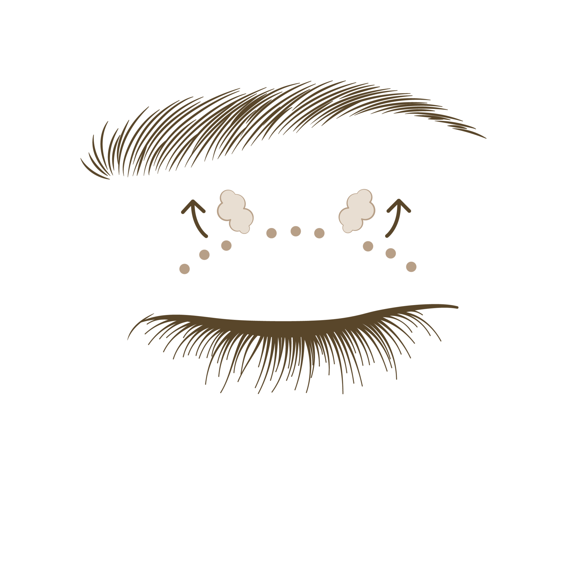 <p style="text-align: center;"><span style="font-size: 14px;">지방 제거</span></p>