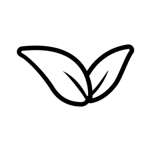 No 설탕