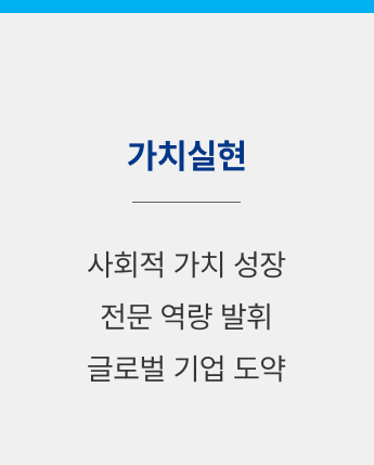가치실현</br>사회적 가치 성장</br>전문 역량 발휘</br>글로벌 기업 도약