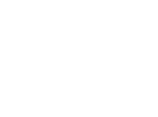 REALPEACH INC