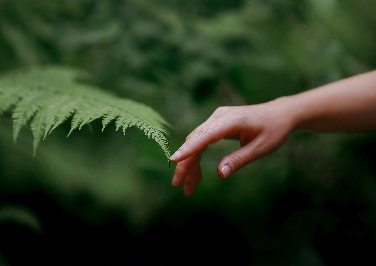 <h2 style="text-align: center; margin-bottom:20px;"><span style="color: rgb(255, 255, 255);">Partnership</span></h2> <p style="text-align: center; line-height:1.6em; letter-spacing:0.02em;"><span style="font-size: 16px; color: rgb(255, 255, 255);">For partnership opportunities or brand collaborations,<br>we welcome you to connect with us. Let’s explore ways we can grow together.</span></p>