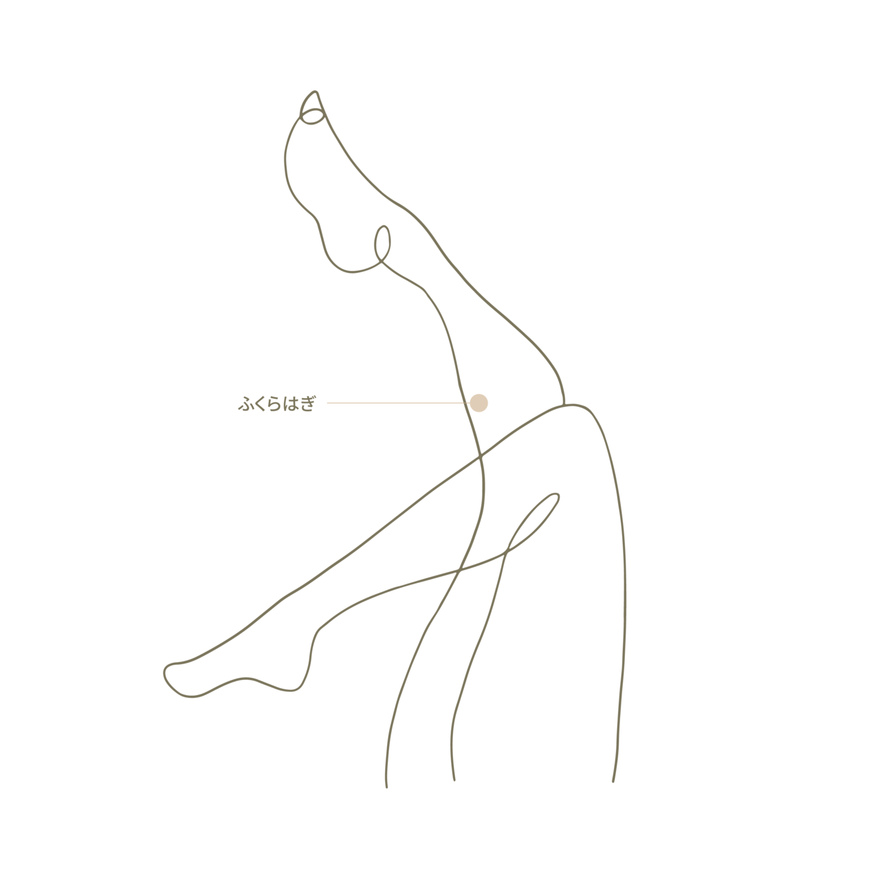 ボトックス(Botox) Treatment Area-body