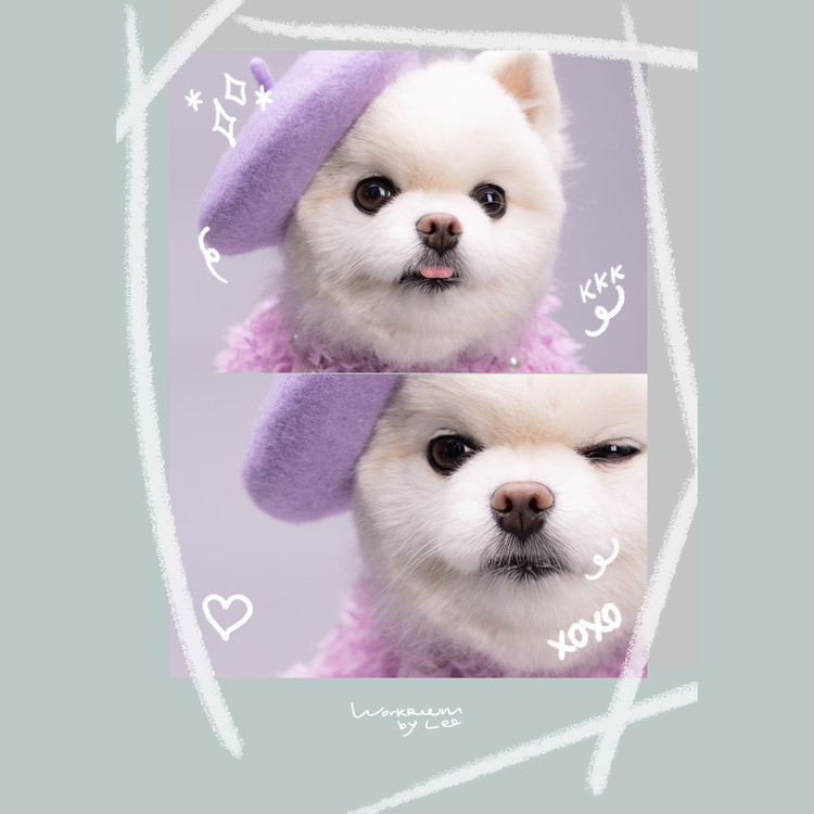 상품 이미지