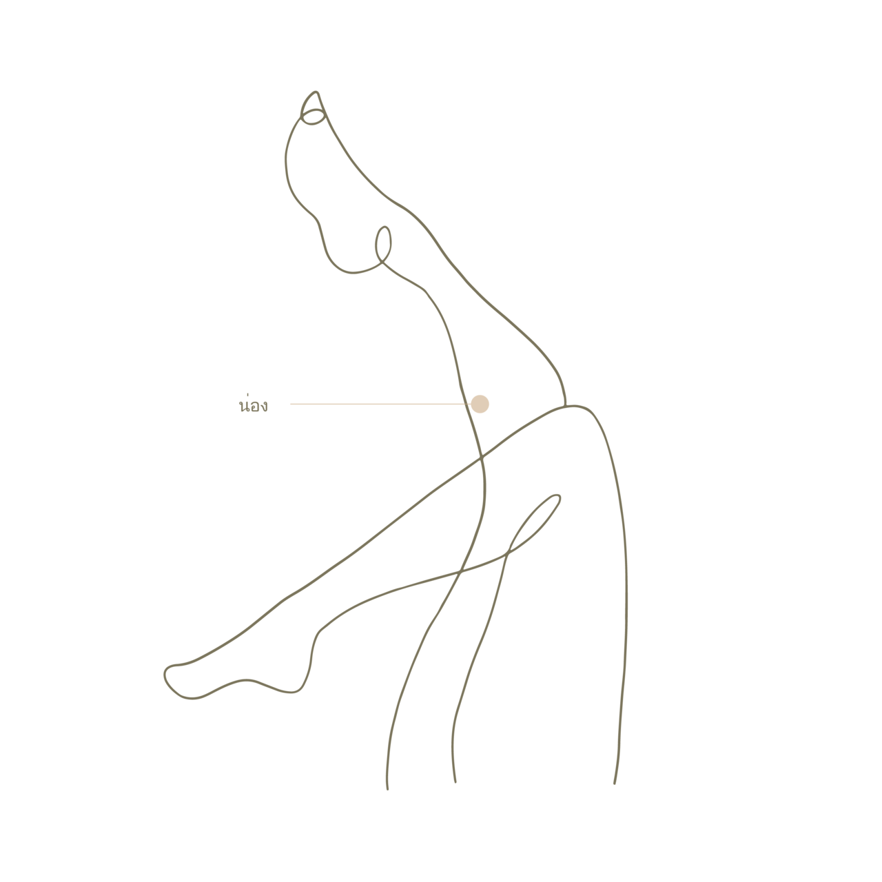 DA Dosan Botox Treatment Area, Body