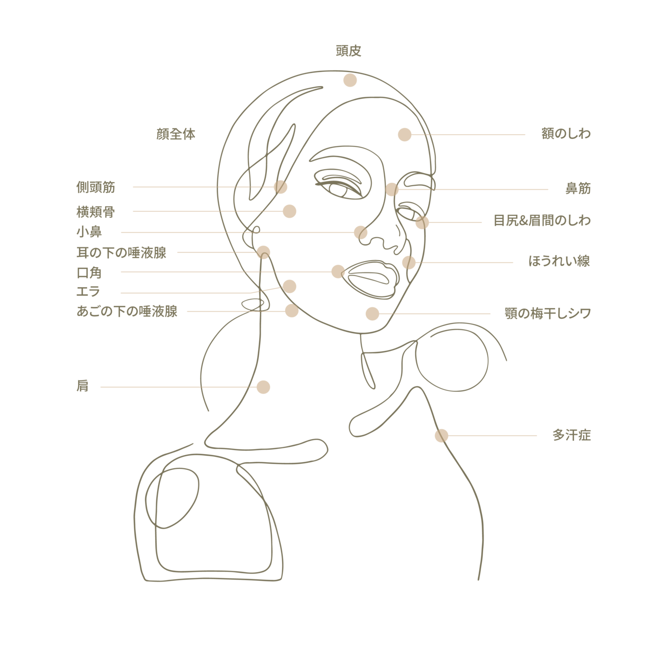 ボトックス(Botox) Treatment Area-face