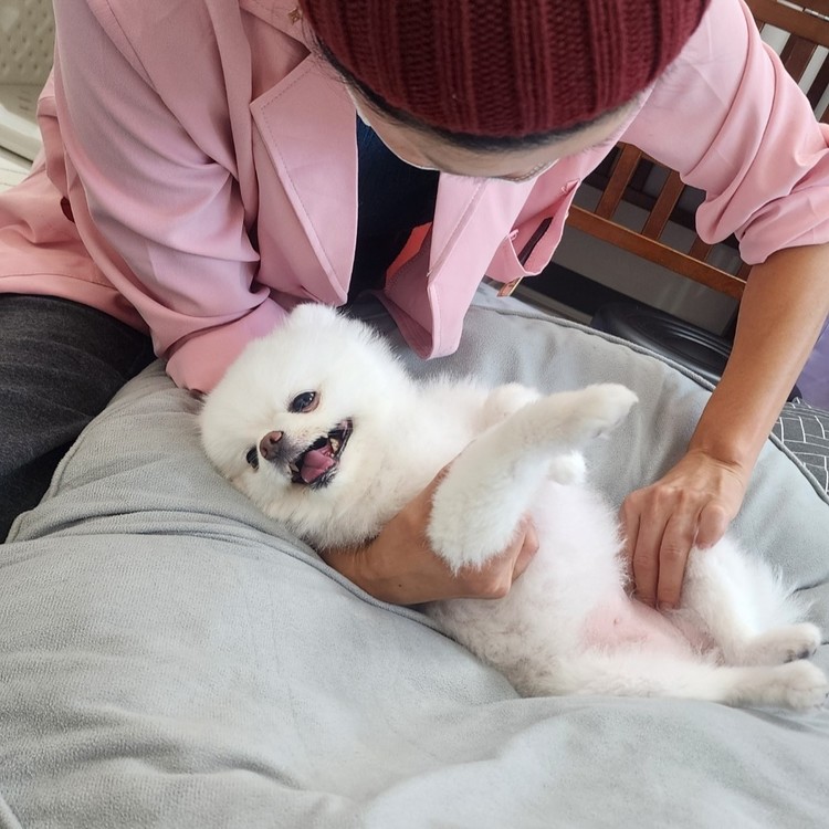 상품 이미지