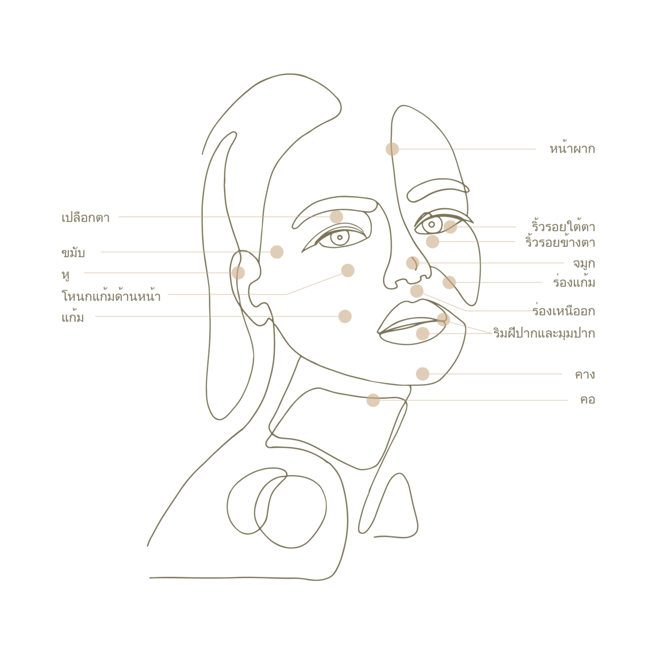 DA Dosan Filler Treatment Area, Face
