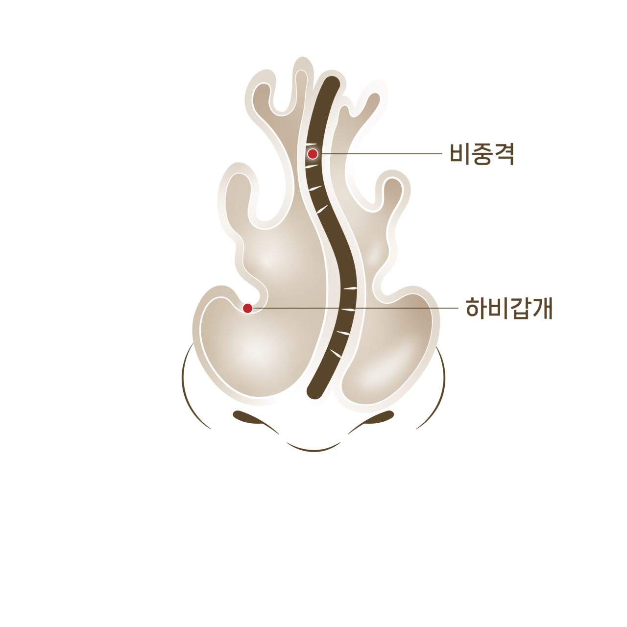 교정 전 <br>