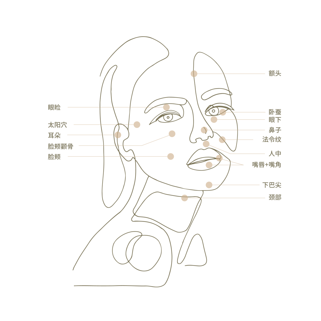 Filler Treatment Area, Face