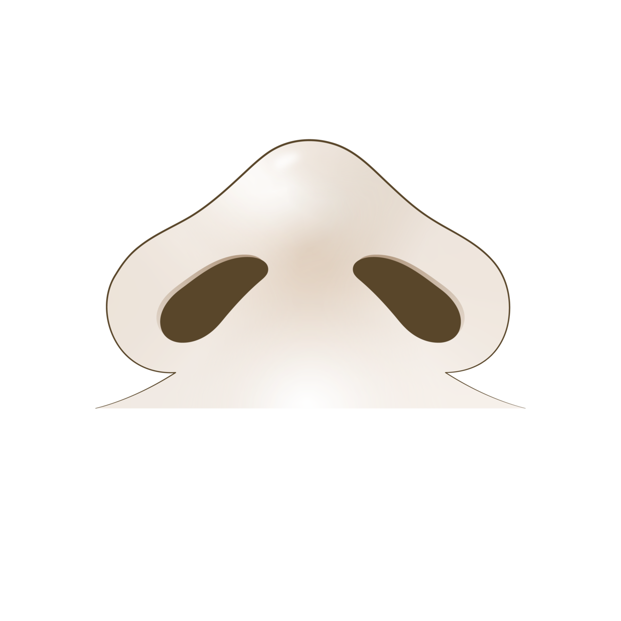 수술 전<br>