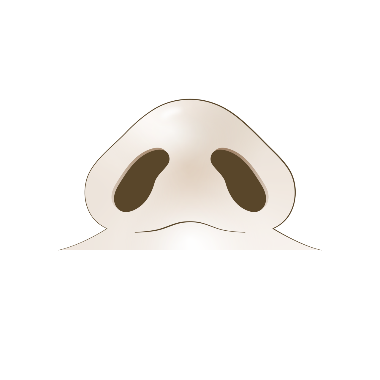 수술 전 <br>