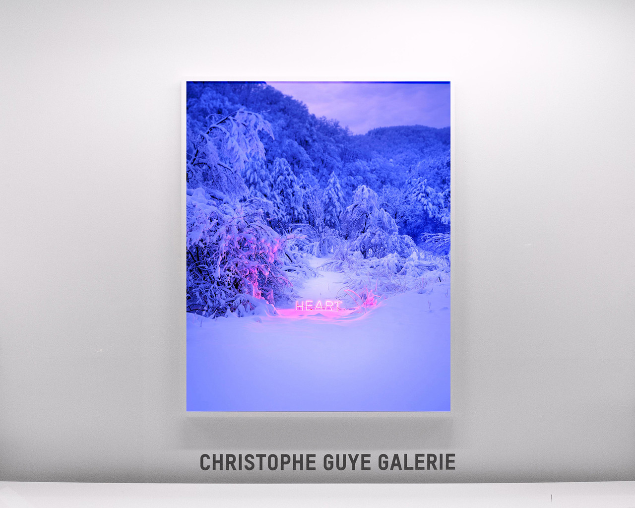 JUNG LEE Solo Exhibition - CHRISTOPHE GUYE Gallery Zurich 2021