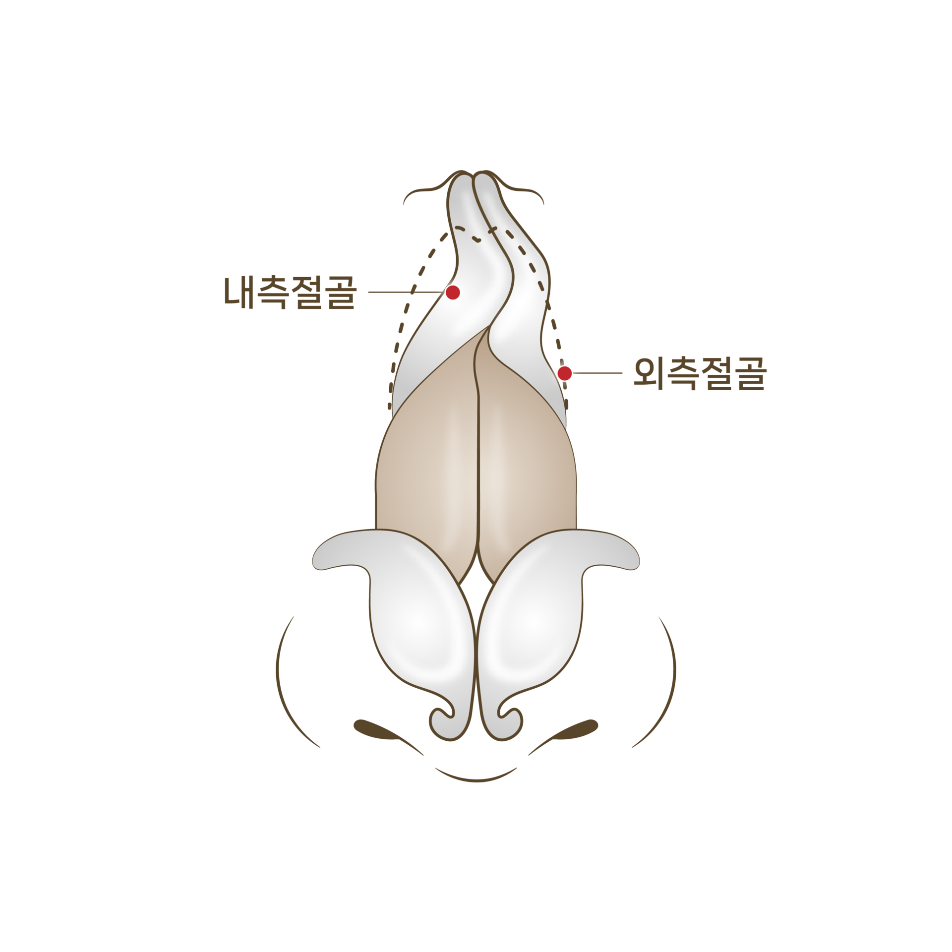 <p style="text-align: center;"><span style="font-size: 14px;">바르게 교정</span></p>