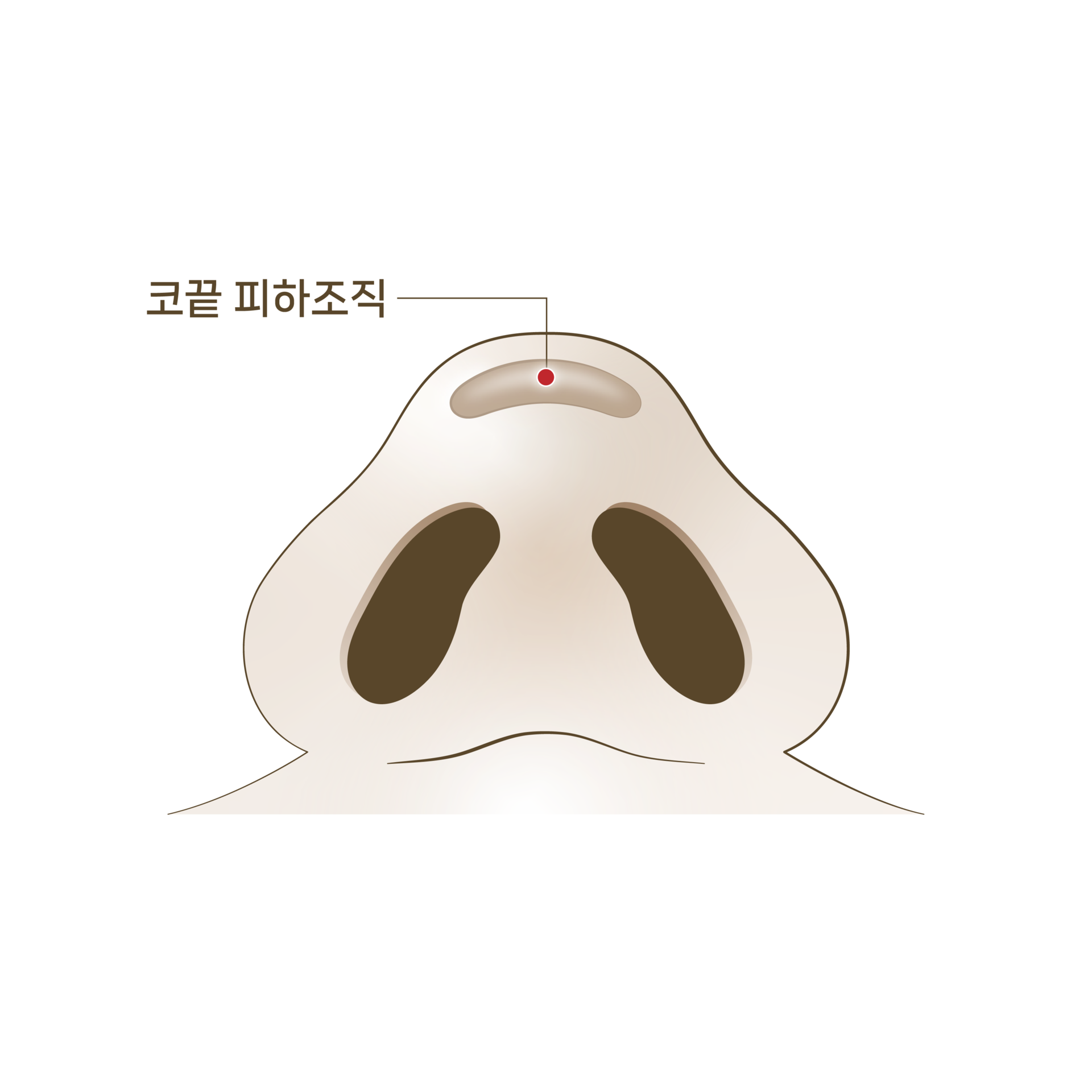 <p style="text-align: center;"><span style="font-size: 14px;">수술 전</span></p>