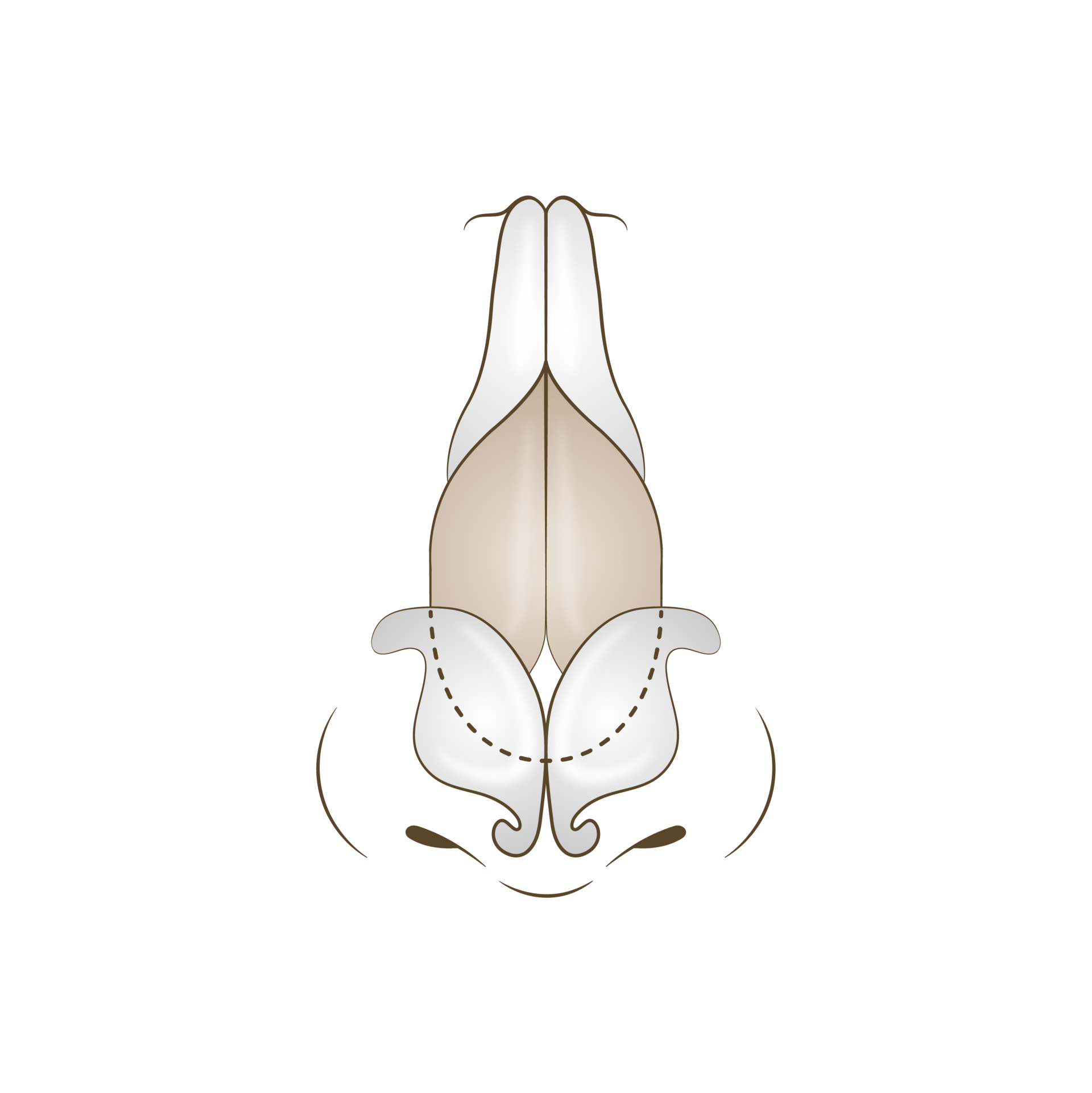 <p style="text-align: center;"><span style="font-size: 14px;">수술 전</span></p>