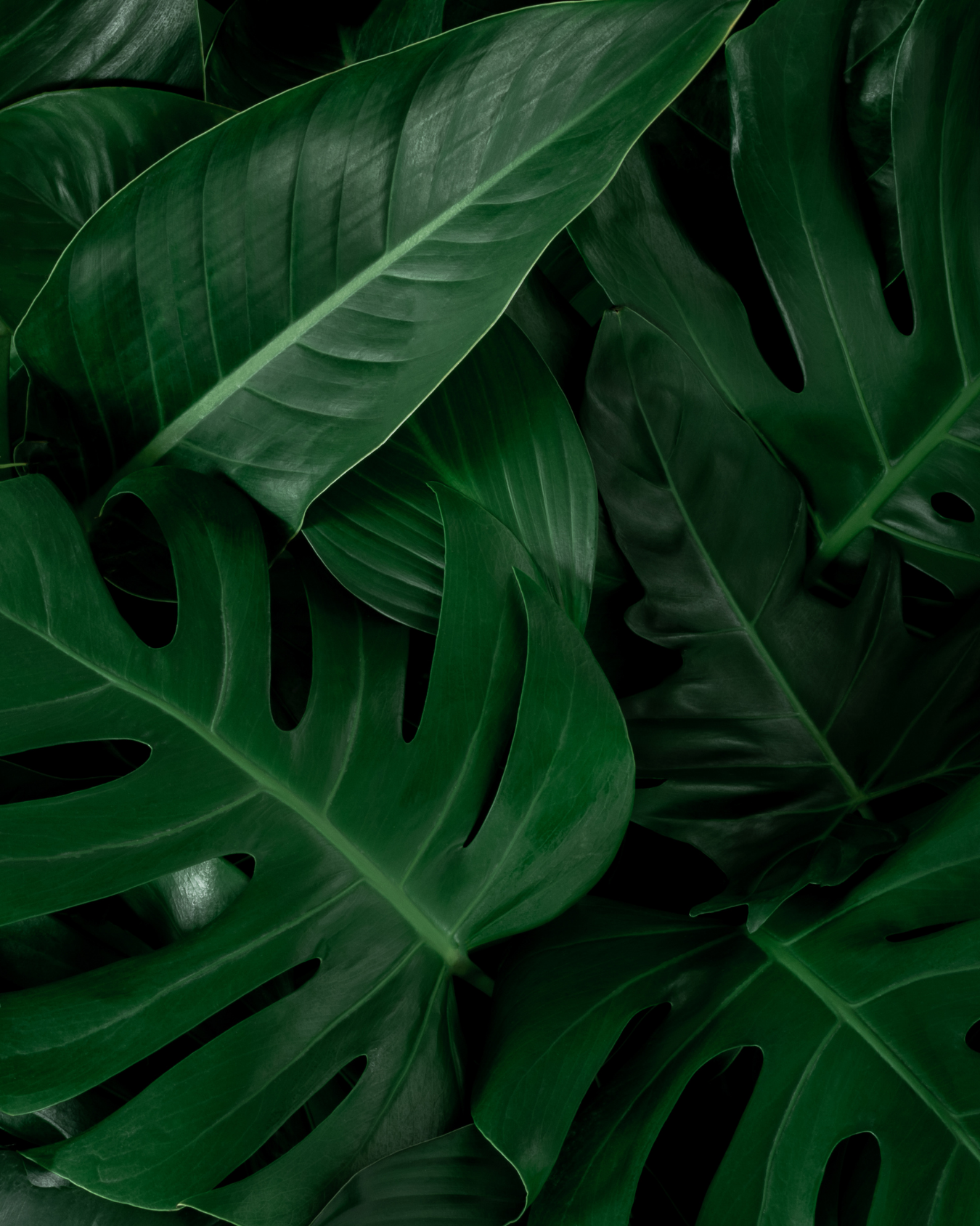 mobile background