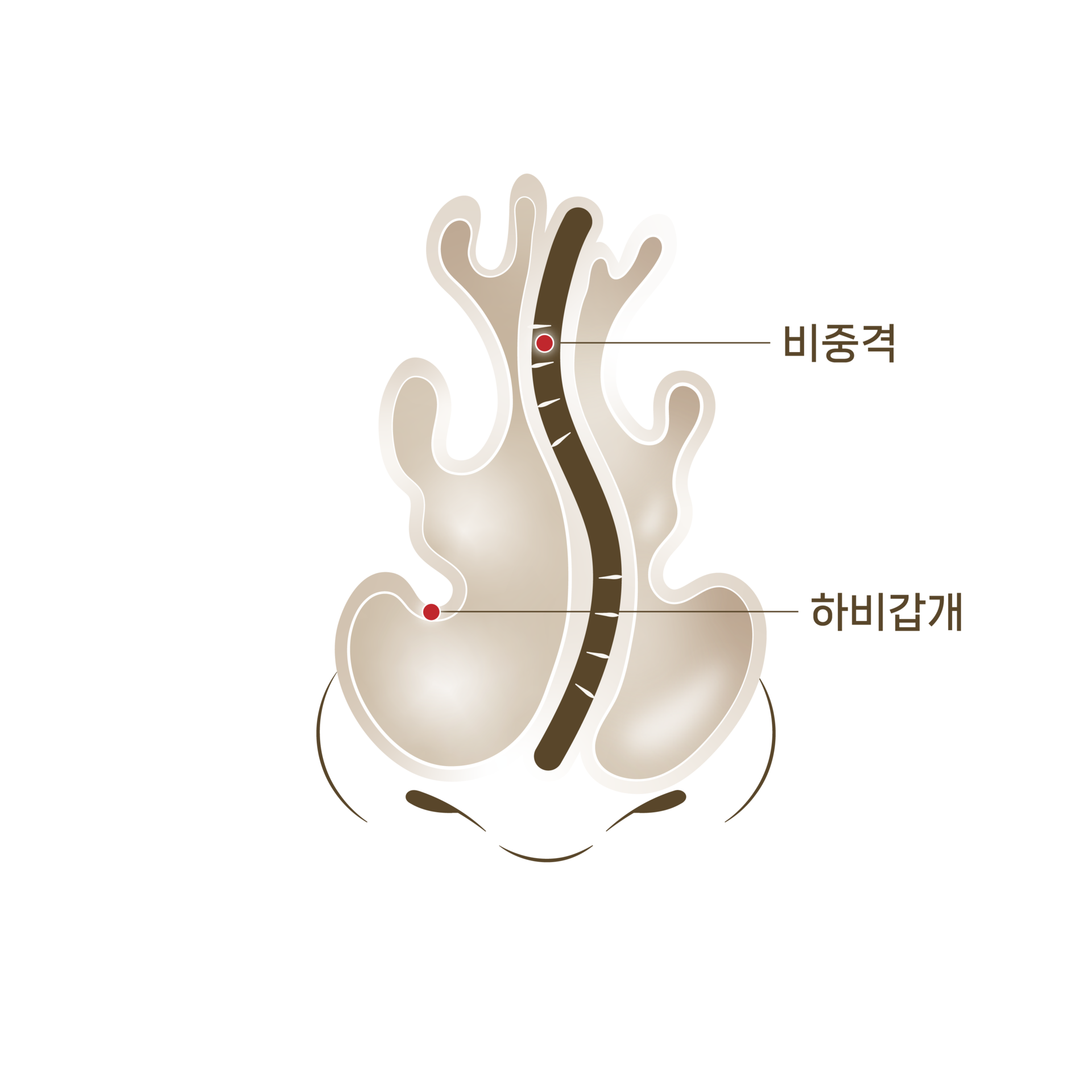 <p style="text-align: center;"><span style="font-size: 14px;">교정 전</span></p>