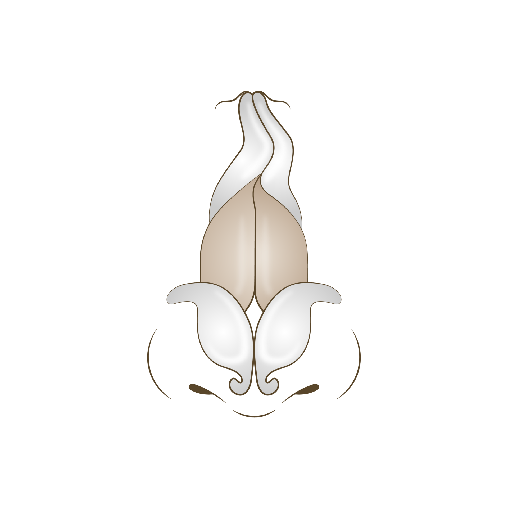 <p style="text-align: center;"><span style="font-size: 14px;">교정 전</span></p>
