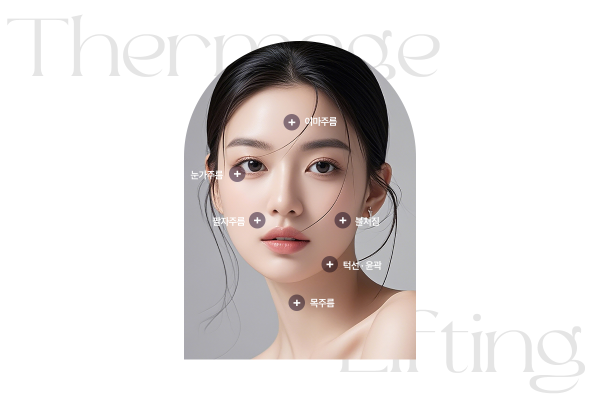 써마지 시술부위를 안내하는 이미지