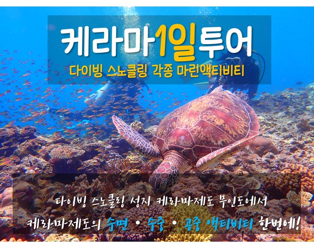 ★인기 NO.1★☆彡 케라마제도 무인도 정박, 다양한 액티비티