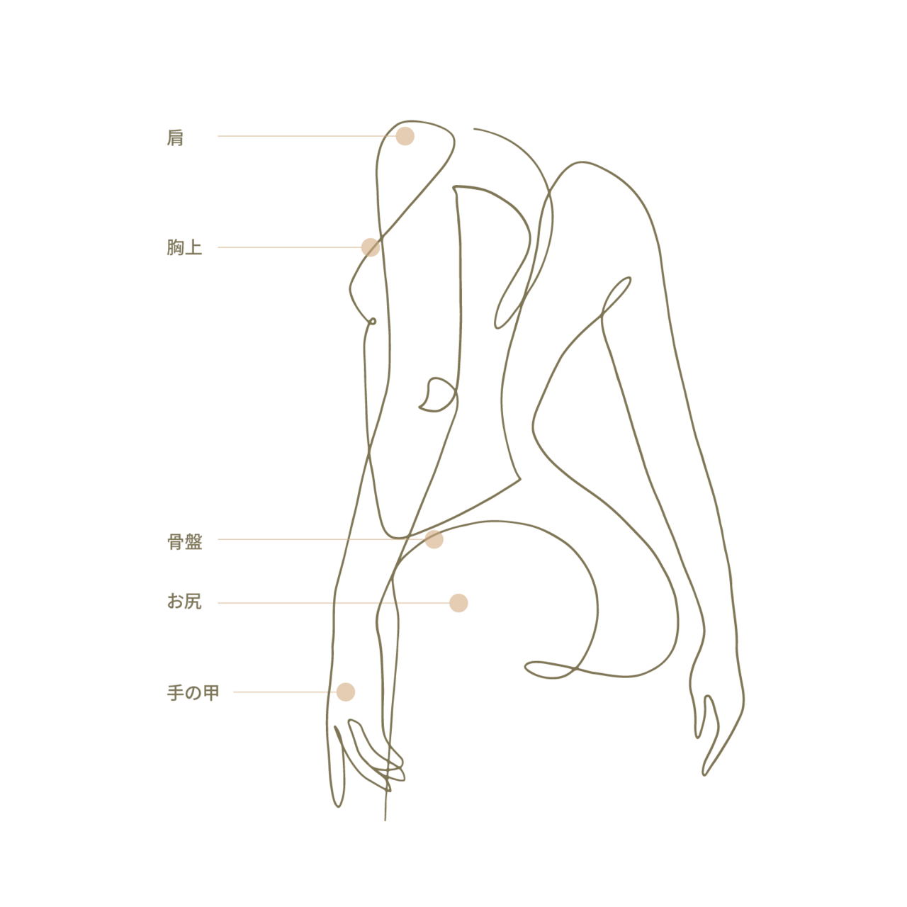 フィラー(Filler) Treatment Area-body