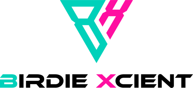 버디엑시언트