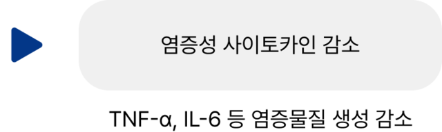 염증성 사이토 카인 감소</br>TNF-α, IL-6 등 염증물질 생성 감소
