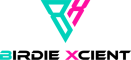 버디엑시언트