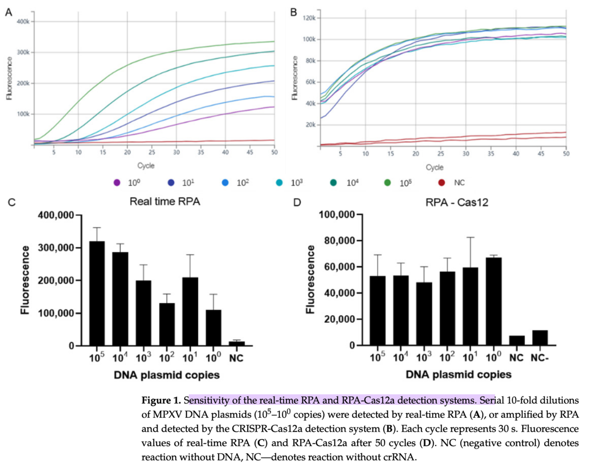 Development and Characterization of Recombinase-Based Isothermal ...
