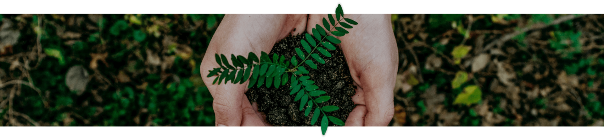 <h6><span style="letter-spacing: 8px; "><strong>HISTORY</strong></span></h6>