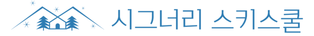 웰리힐리파크 스키강습  - 시그너리 스키스쿨 -웰리힐리 스키강습