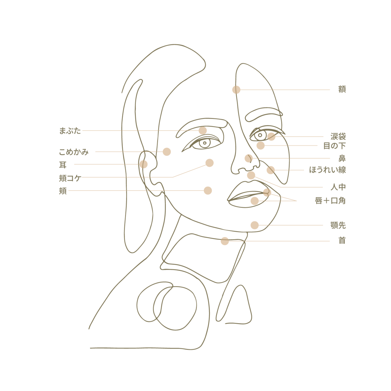 フィラー(Filler) Treatment Area-face