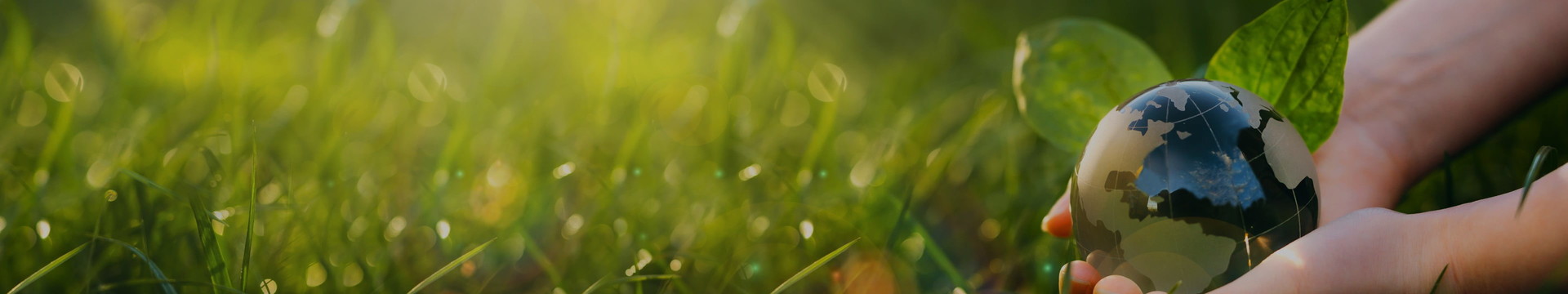 <h6><span style="letter-spacing: 8px; "><strong>ORGANIZATION INFORMATION</strong></span></h6>