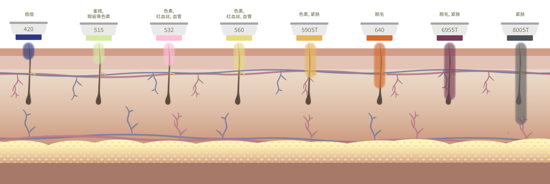 个人定制型BBL智能滤光片