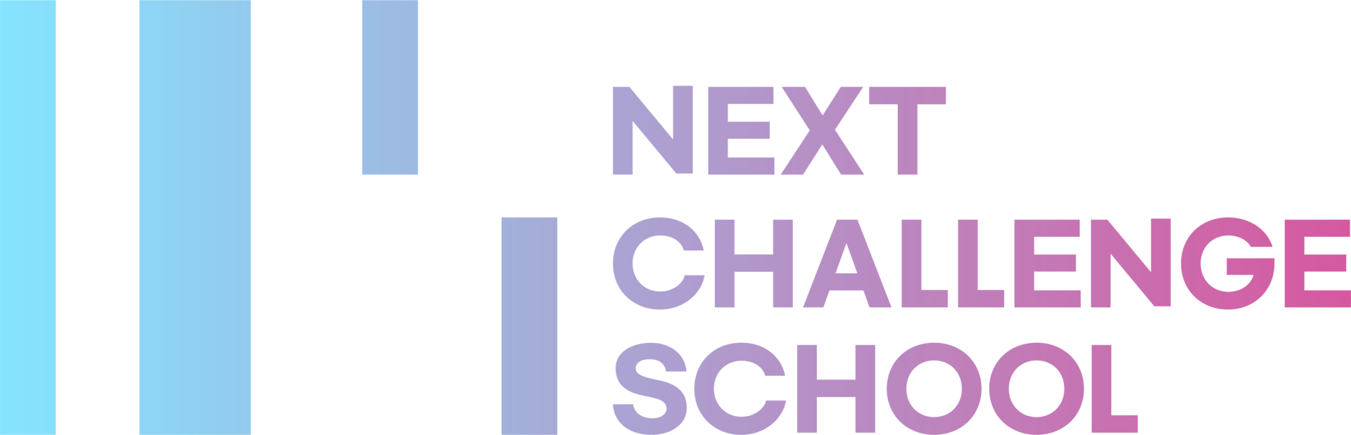 NCS logo_blurV
