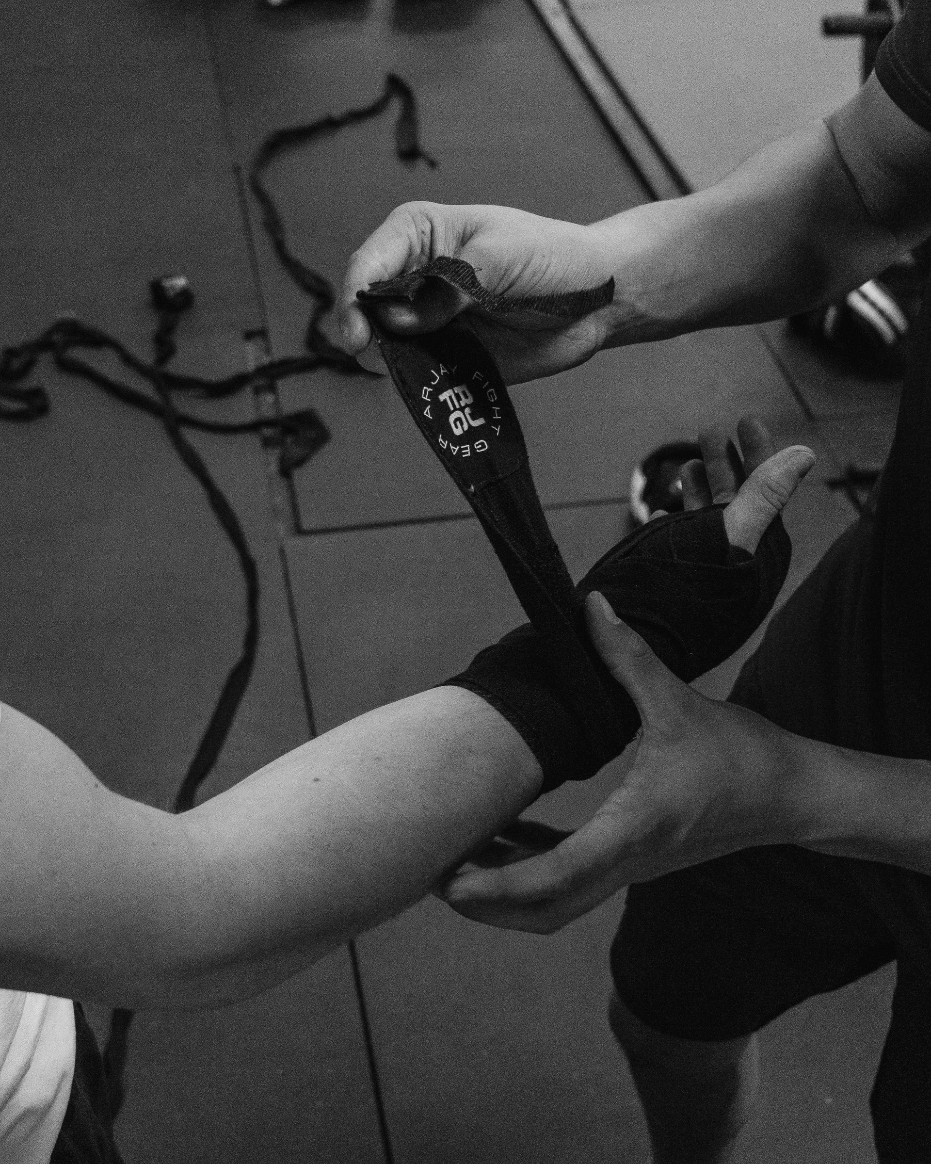 PTBRO에 대해 제대로 알기 >