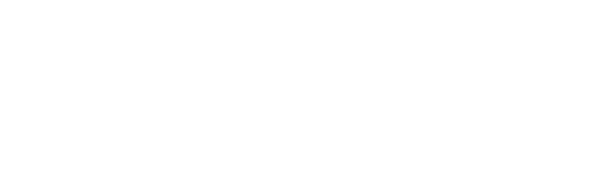 Travel Duck // 트래블덕
